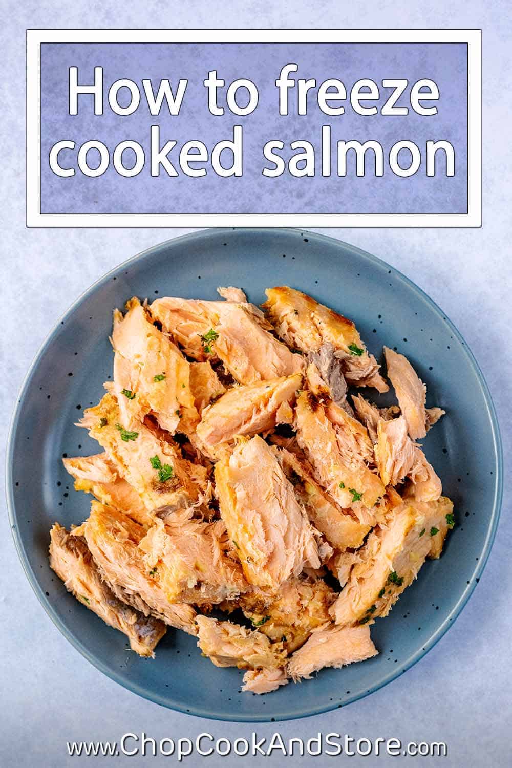 Can You Freeze Cooked Salmon? Chop Cook and Store